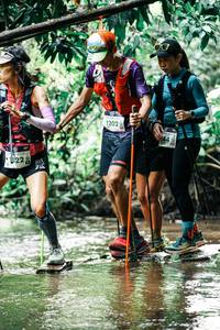 BIB: 
                            <button type="button" onclick="openModal(25271692)" class="btn btn-primary btn-sm float-right btn-popup" data-toggle="modal" data-target=".modal-high-quality">
                        <i class="fas fa-shopping-cart"></i> Add to Cart
                    </button>
                                            <button type="button" onclick="isThisMe(25271692, true)" class="btn btn-success btn-sm float-right btn-popup btn-isme hidden" data-toggle="tooltip" data-placement="bottom" title="นี่คือรูปของคุณใช่ไหม คลิกที่นี่เพื่อเอาเข้าอัลบั้ม">
                        <i class="fas fa-plus"></i> Add to album
                    </button>
                    <button type="button" onclick="isThisMe(25271692, false)" class="btn btn-warning btn-sm float-right btn-popup btn-isnotme hidden">
                        <i class="fas fa-ban"></i> Remove from album
                    </button>